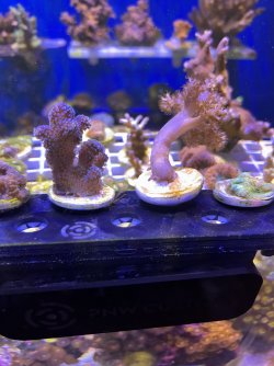 IMG_4858.jpeg