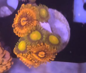 20250117_214444.jpg