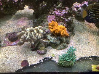 IMG_0150.jpeg