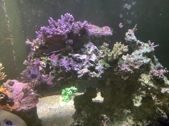 IMG_0148.jpeg