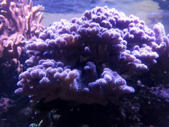 20250515_164506.jpg