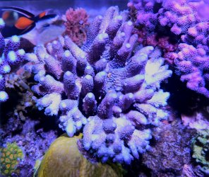 20250515_164856.jpg