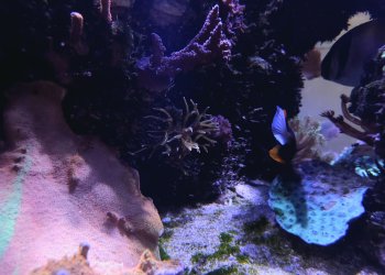 20250515_165544.jpg