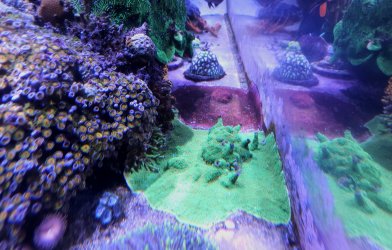 20250515_170045.jpg