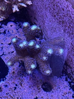 IMG_1131.jpeg