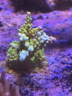 IMG_1136.jpeg
