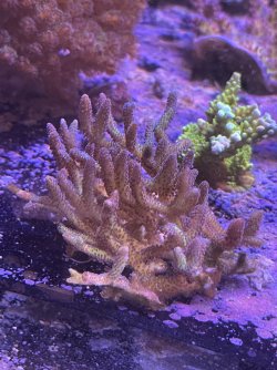 IMG_1137.jpeg