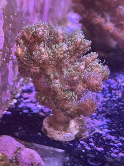 IMG_1104.jpeg