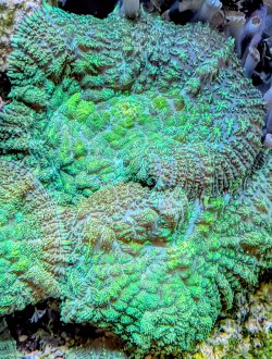 PXL_20250816_024525426~2.jpg