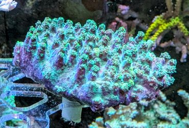 PXL_20250816_024444112.MP~2.jpg