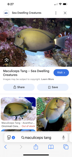 IMG_1766.png IMG_1766.png