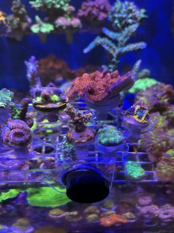 IMG_7594.jpeg