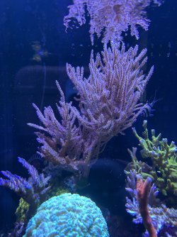 IMG_7595.jpeg