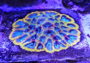 20251016_094715~2.jpg