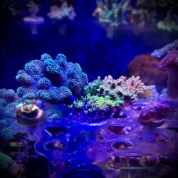 IMG_7719.jpeg