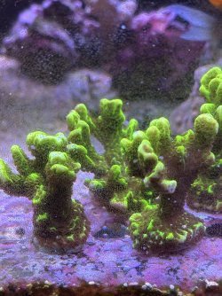 IMG_7119.jpeg
