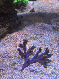 IMG_7120.jpeg