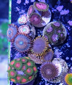 20260218_193926~3.jpg