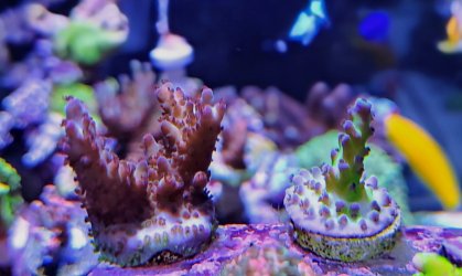 20260218_194300~2.jpg