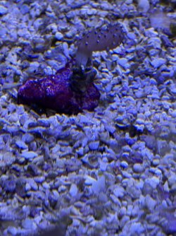IMG_2378.jpeg IMG_2378.jpeg