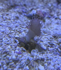 IMG_2371.jpeg IMG_2371.jpeg