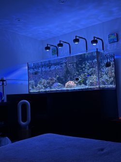 IMG_3694.jpeg