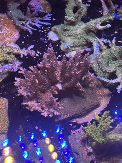 IMG_2623.jpeg