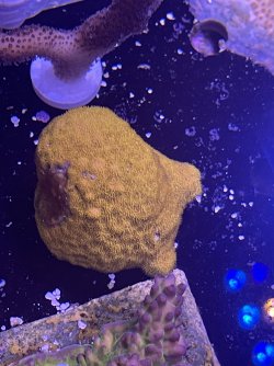 IMG_2627.jpeg