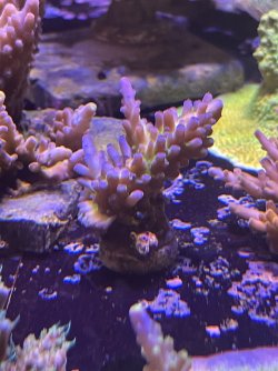 IMG_2629.jpeg