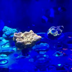 IMG_9099.jpeg