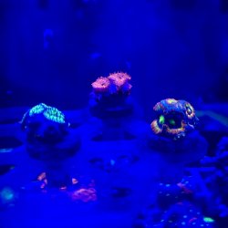 IMG_9100.jpeg