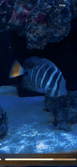 IMG_0508.png