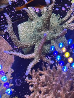 IMG_2890.jpeg