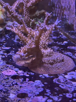 IMG_2885.jpeg