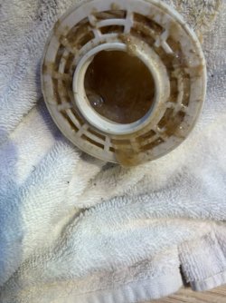 image1.jpeg